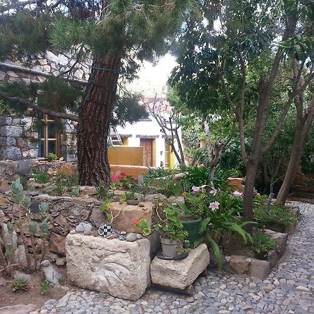 Casa Curtos Apartment Catorce ห้อง รูปภาพ